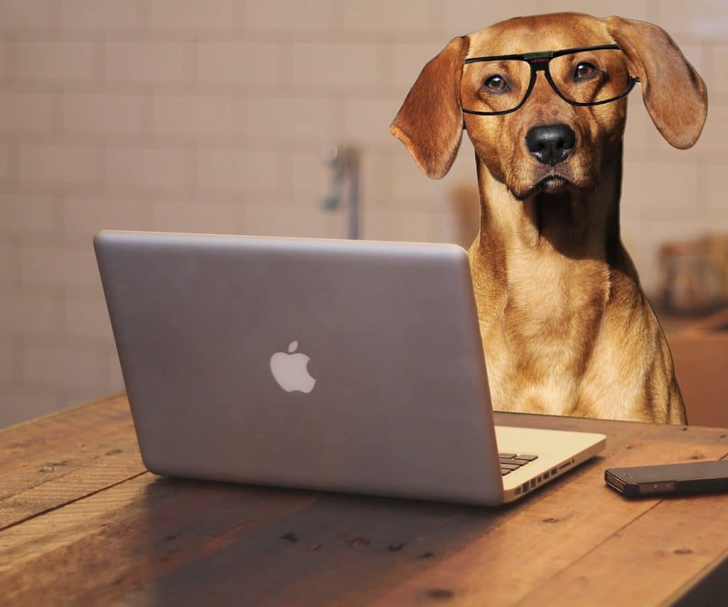 dog with glasses pretending to work on laptop