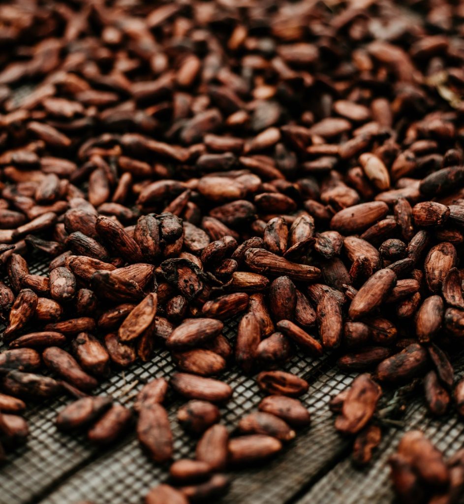 Cacao beans