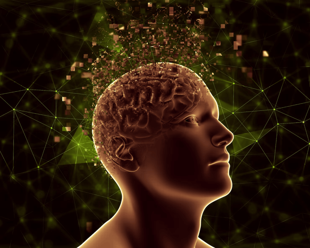 How Your Brain Works